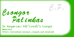 csongor palinkas business card